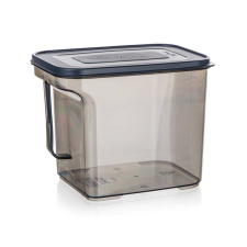  BANQUET ZOYA tárolódoboz fogantyúval, 2,75L 55077473 papírárú, csomagoló és tárolóeszköz