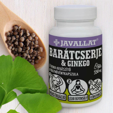  Barátcserje &amp;amp; ginkgo vitamin és táplálékkiegészítő