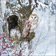 Barn Owl papírszalvéta 33x33cm, 20db-os papírárú, csomagoló és tárolóeszköz