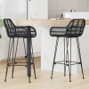  Bárszék 2 pcs Fekete 55 x 52 x 92 cm Rattan és Vas