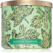 Bath & Body Works Mountain Teakwood illatgyertya 411 g gyertya