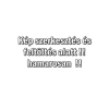 Bautool Zsalutisztitóhoz nyél (b111111)