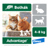 Bayer Advantage 80 spot on macskáknak és nyulaknak (4-8 kg között) 0,8 ml