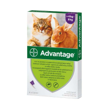 BAYER HUNGÁRIA KFT Advantage rácsepegtető oldat nagytestű (4-8kg) macskáknak és nyulaknak A.U.V. (4x0,8ml) élősködő elleni készítmény macskáknak