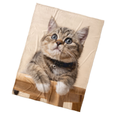 BedTex Gyerek takaró Cica Csengettyű, 150 x 200 cm lakástextília