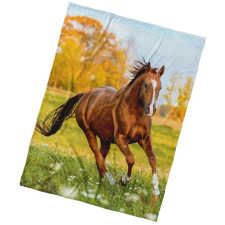 BedTex Mikropoliészta takaró, mezei róka, 150 x200 cm lakástextília