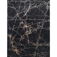BER ELITE 4355 fekete arany 240 x 330 cm szőnyeg lakástextília