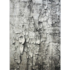 Ber Maksim 8606 Szőnyeg - Bézs-Szürke - 120x180 cm lakástextília