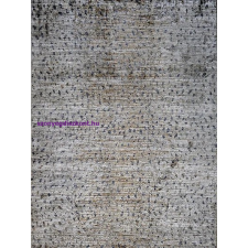 Berfin Ber Laila 6542 bézs 200x300cm szőnyeg lakástextília