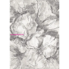 Berfin Ber. VERA 4441 bézs-szürke 240 x 330cm modern szőnyeg