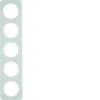 Berker 10152109 5-ös keret , univerzális, menta üveg, R.1; 365,2 mm x 81,2mm