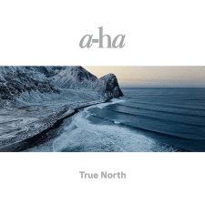 BERTUS HUNGARY KFT. A-Ha - True North (Cd) rock / pop