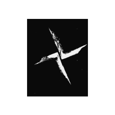 BERTUS HUNGARY KFT. Burial - Tunes 2011-2019 (Digipak) (CD) elektronikus