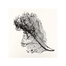 BERTUS HUNGARY KFT. Max Cooper - Earth (Vinyl EP (12")) elektronikus