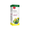 BGB Interherb Kft. Interherb Napi Csepp Urino cseppek 50 ml
