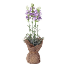 BigBuy Home Dekor növény 119596 (37 cm) világítás
