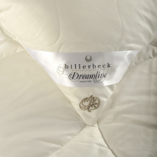 Billerbeck Dreamy cool párna lakástextília