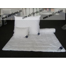 Billerbeck MEDICLEAN duo paplan, 200 x 220 cm (1650 g) - Billerbeck ágy és ágykellék