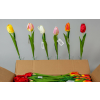  Bimbós tulipán szálas selyemvirág 45 cm
