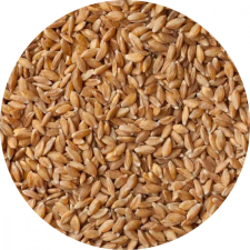Bio alakor ősbúza főzésre, sütésre 25kg alapvető élelmiszer