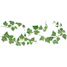  Bio borostyánkivonat vitamin és táplálékkiegészítő