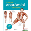 Bioenergetic A nyújtás anatómiai kézikönyve