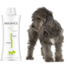 Biogance Nutri Repair Shampoo 250 ml kutyafelszerelés