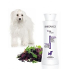 Biogance White Snow Shampoo 250ml