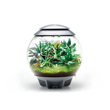  biOrb AIR 60 Szürke - dekorációs terrárium terrárium, vivárium