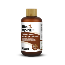 Biowen Life Spirit XQZ Süngomba koncentrátum 250 ml vitamin és táplálékkiegészítő