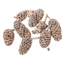  Birch pine szárított falfestékes terracotta 18dkg/csom dekorációs kellék
