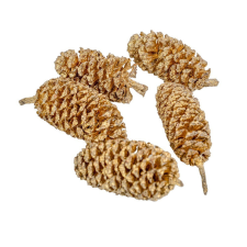  Birch pine szárított pezsgő 15dkg/csom dekorációs kellék