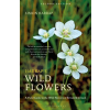 Bloomsbury Publishing Harrap's Wild Flowers | Simon Harrap