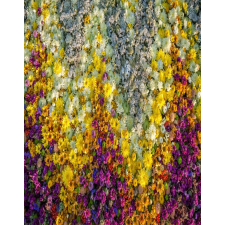  Blueback MAT Fotótapéta, 200 x 255 cm, Virágok 65 tapéta, díszléc és más dekoráció