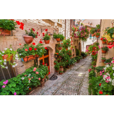  Blueback MAT Fotótapéta, 250 x 200 cm, Virágos utca tapéta, díszléc és más dekoráció