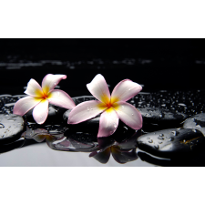  Blueback MAT fotótapéta, Fehér orchidea, 250 x 200 cm tapéta, díszléc és más dekoráció