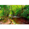  Blueback MAT fotótapéta, Folyó a zöld erdőben, 250 x 200 cm