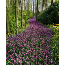  Blueback MAT fotótapéta, Rózsaszín virágút, 200 x 255 cm tapéta, díszléc és más dekoráció