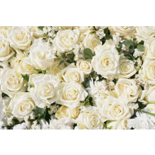  Blueback MAT Fotótapéta, Virágok 173, Fehér rózsák 2, 200 x 255 cm tapéta, díszléc és más dekoráció
