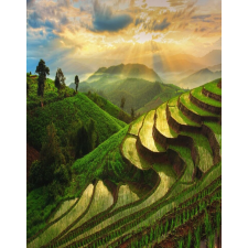  Blueback MAT Natura87 tapéta, 200 x 255 cm tapéta, díszléc és más dekoráció