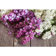  Blueback MAT Nyomtatott tapéta, orgona csokor, 300 x 200 cm tapéta, díszléc és más dekoráció