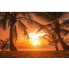  Blueback MAT Nyomtatott tapéta, pálmafák a naplementében, 300 x 200 cm