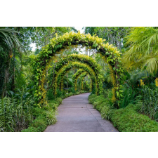  Blueback Mat Padure 62 tapéta virágívekkel, 250 x 200 cm tapéta, díszléc és más dekoráció