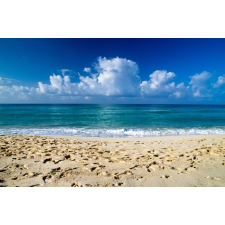  Blueback MAT Plaja14 tapéta, 250 x 200 cm tapéta, díszléc és más dekoráció