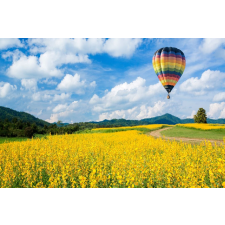  Blueback MAT "Természet 63" tapéta, 250 x 200 cm tapéta, díszléc és más dekoráció