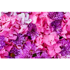  Blueback MAT tapéta Flori96, 250 x 200 cm tapéta, díszléc és más dekoráció