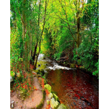  Blueback MAT tapéta, folyó a zöld erdőből modell, 200 x 255 cm tapéta, díszléc és más dekoráció