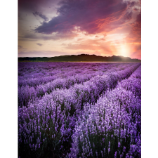  Blueback MAT tapéta, levendula 4, 200 x 255 cm tapéta, díszléc és más dekoráció