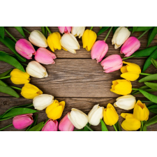  Blueback MAT tapéta, növényvilág 91 modell, 200 x 255 cm tapéta, díszléc és más dekoráció