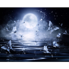  Blueback MAT Tapéta, Pillangók az éjszakai fényben, 250 x 200 cm tapéta, díszléc és más dekoráció